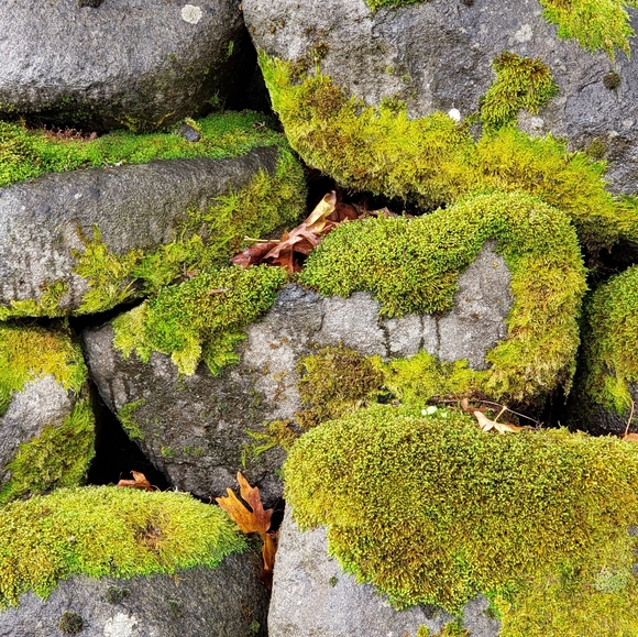 Meet your Posher, Katy - Picture 2 of 5